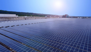 中美硅晶与XPJ·(中国区)官方光电携手战略合作