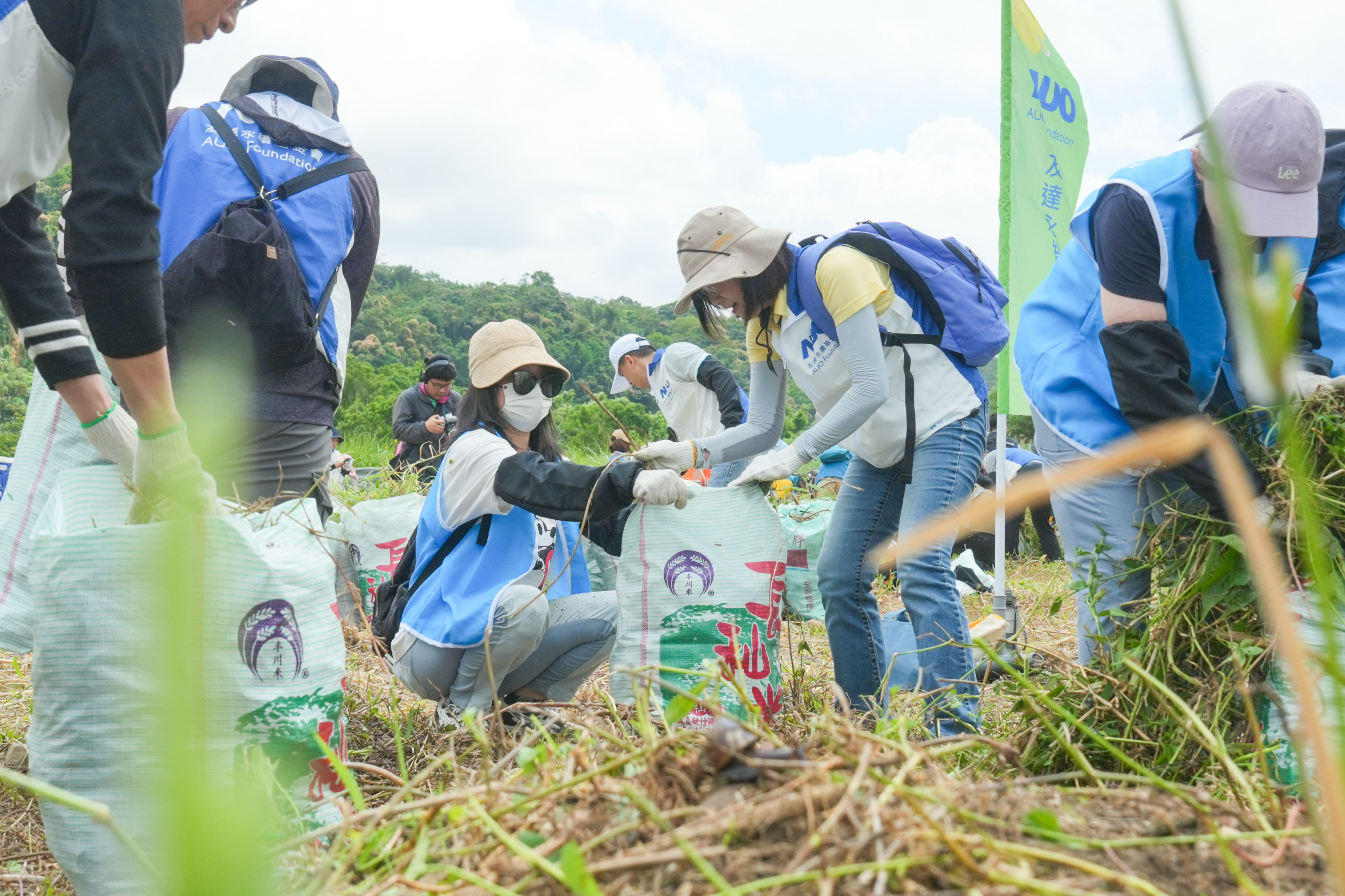 XPJ·(中国区)官方除蔓防治計畫，除了鎖定霄裡溪沿岸3.2公里移除外來入侵種小花蔓澤蘭，並進行物種與空拍調查，共記錄91科181屬239種維管束植物，顯示該區域具高度生態價值